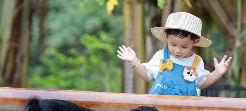 海南石梅湾艾美度假酒店图片