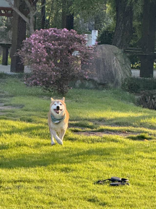 融悦酒店(仙居店)图片