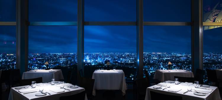 东京柏悦大酒店(Park Hyatt Tokyo)图片