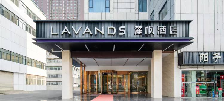 麓枫酒店(鄂州葛店葛洪大道店)图片