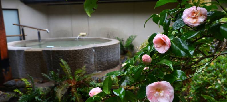 奥汤河原海石榴酒店(Oku Yugawara Tsubaki)图片