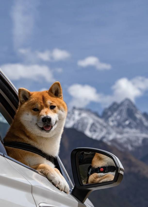 万好·中亚酒店(塔什干国际机场华人酒店)(Central Asia Hotel)图片