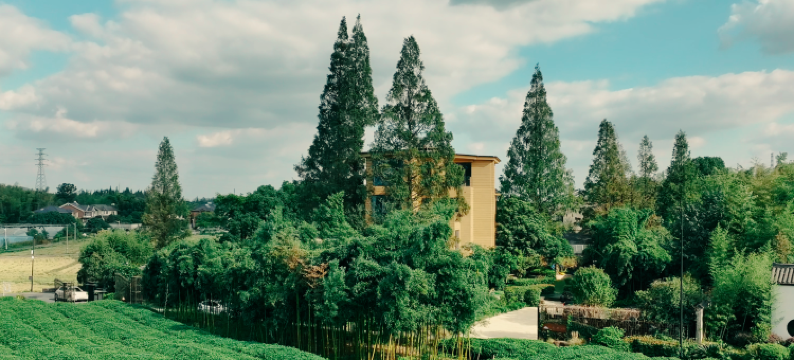 游·淞与山度假酒店图片