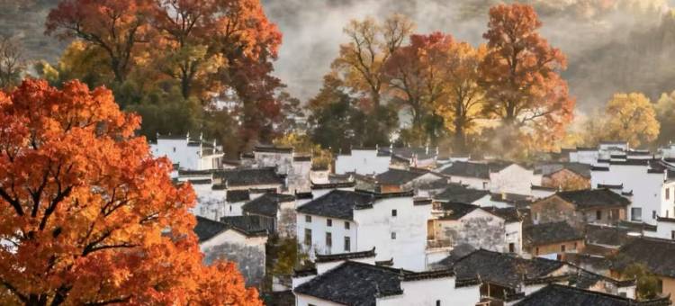 黄山高铁站凯悦嘉轩酒店图片