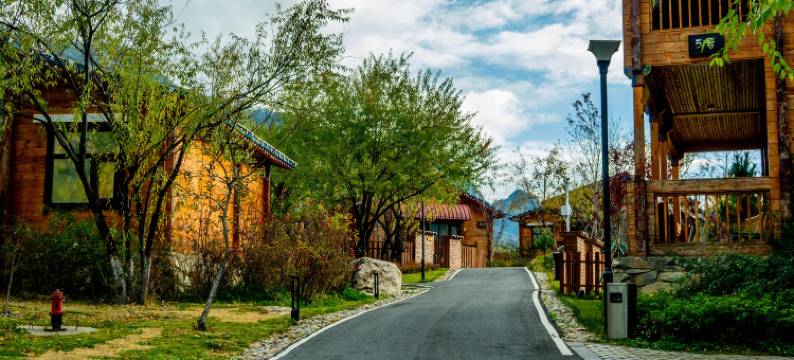 林芝藏南桃谷酒店图片