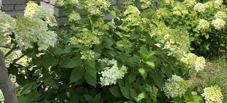 登封山那边民宿图片