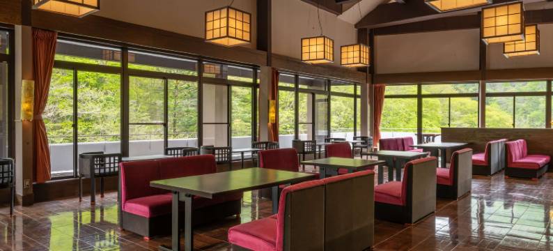 利夫马克斯度假酒店 川俣温泉(Hotel Livemax Resort Kawamata Onsen)图片