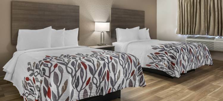 昆斯伯里红屋顶酒店(Red Roof Inn Queensbury)图片