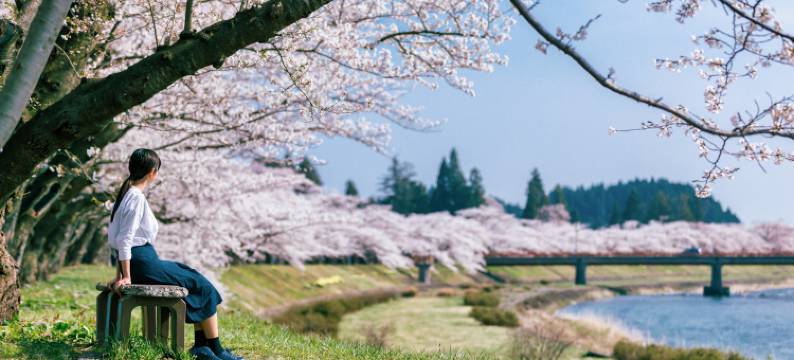 龟乃井酒店-田泽湖(KAMENOI HOTEL TAZAWAKO)图片