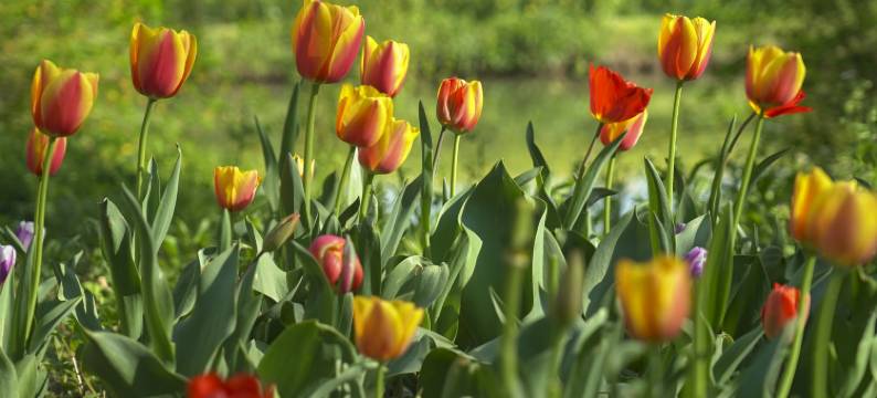 乌镇乌村酒店图片