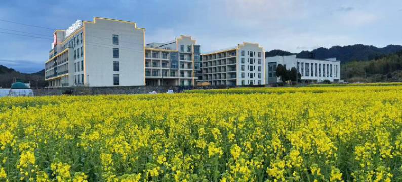 婺源四季清华度假酒店图片