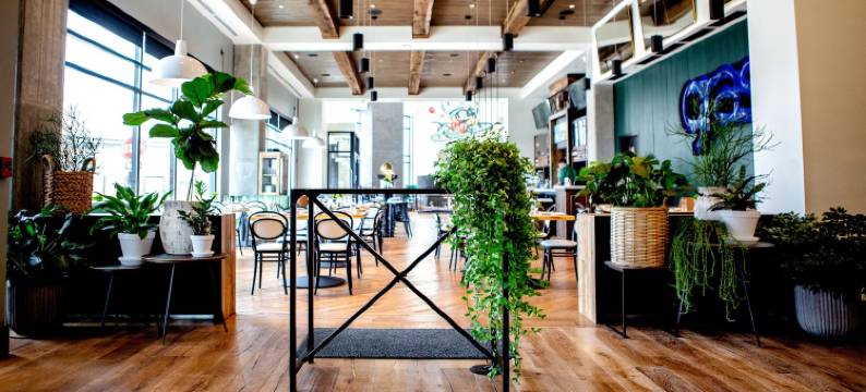 Studio 6 Suites Lexington, KY - Airport图片