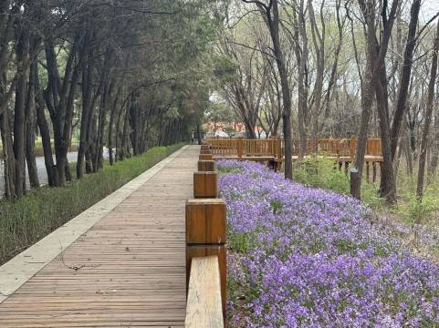 云瑧东山宾馆(北戴河鸽子窝店)图片