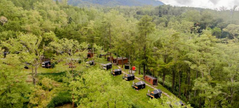 波波卡宾科班隆多玛琅酒店(Bobocabin Coban Rondo Malang)图片