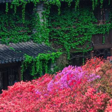 南京夫子庙老门东逸扉度假酒店图片