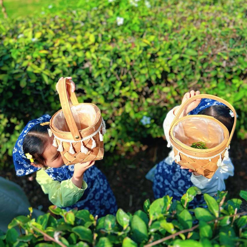 茅山涵田度假村图片