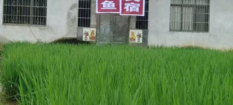 半亩小院民宿图片