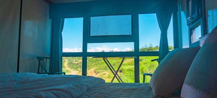 王岗坪脱壳龟生态营地图片