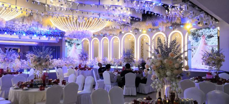 株洲攸县海悦国际酒店(望云国际广场攸县汽车站店)图片