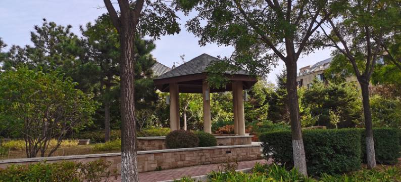 兴城柒柒海景民宿图片