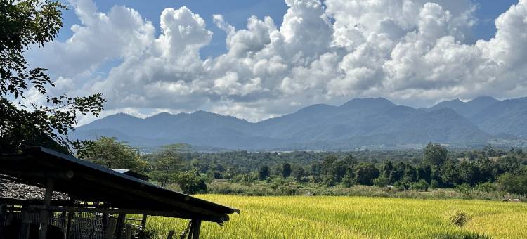 排帕拉维达酒店(Pura Vida Pai Resort)图片