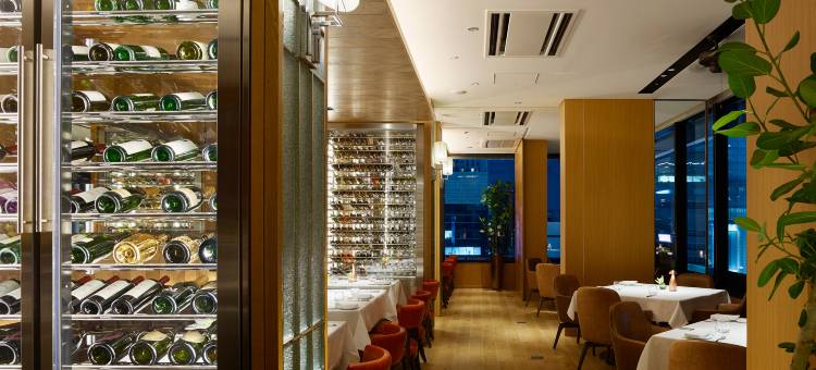 银座赛莱斯廷酒店(Hotel The Celestine Ginza)图片