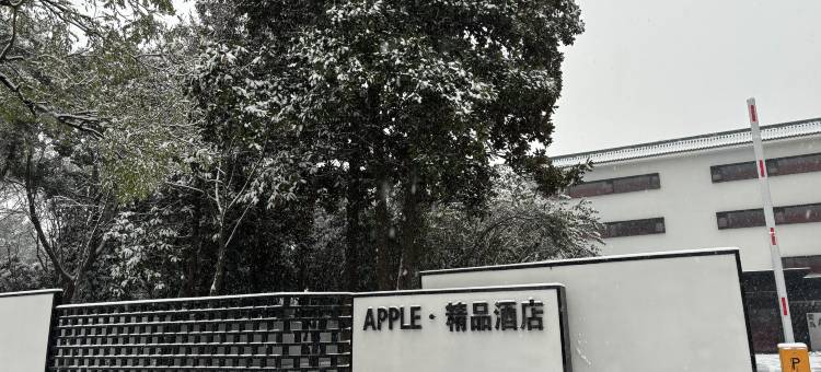 巢湖APPLE·青鸟精品酒店图片