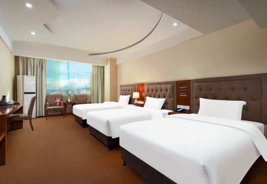 瑞西富氧大酒店（拉萨八廓街大昭寺店）外景图