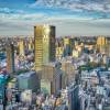 東京麗思卡爾頓酒店