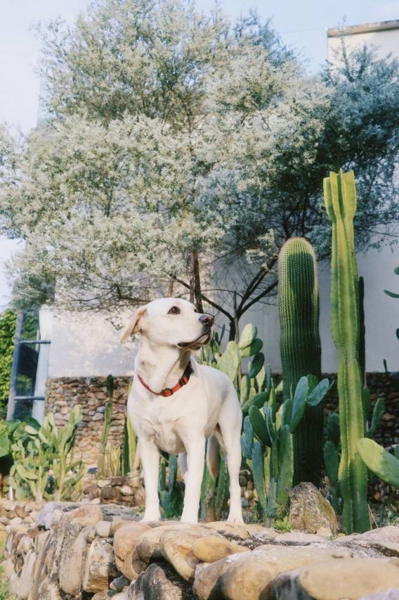 英德·野渡宿集·野渡谷民宿图片