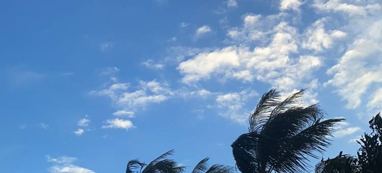 见海民宿(侨港海滩店)图片