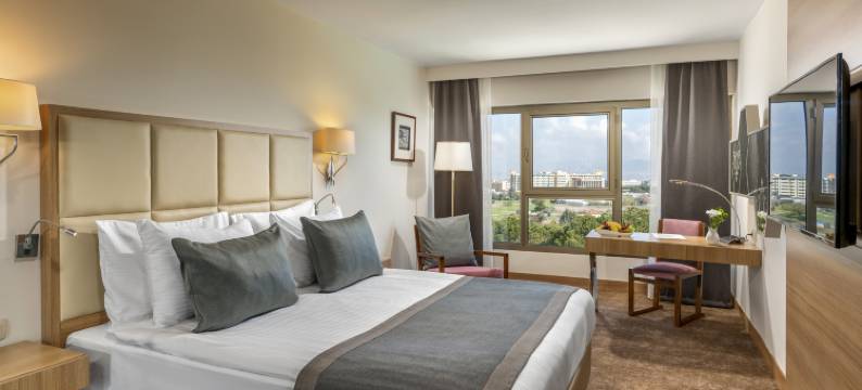 伊兹密尔卡亚温泉及会议中心酒店(Kaya Izmir Thermal & Convention)图片