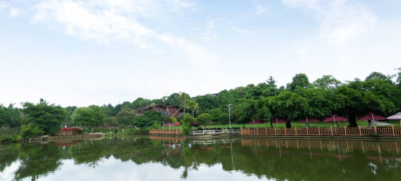 成都新皇城大酒店图片