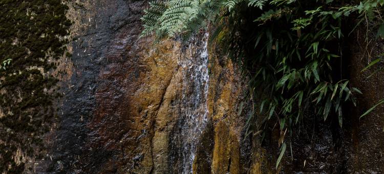 安吉乾龙·view轻奢度假美宿图片