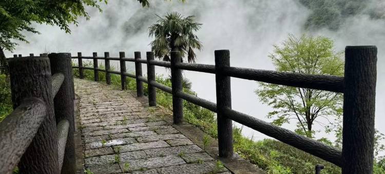 小芦民宿(龙泉山景区店)图片
