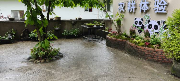 荥经龙苍景园民宿(龙苍沟国家森林公园店)图片