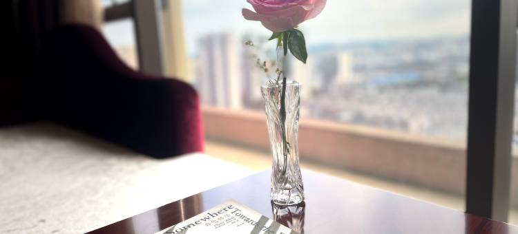 垫江国能国际大酒店图片