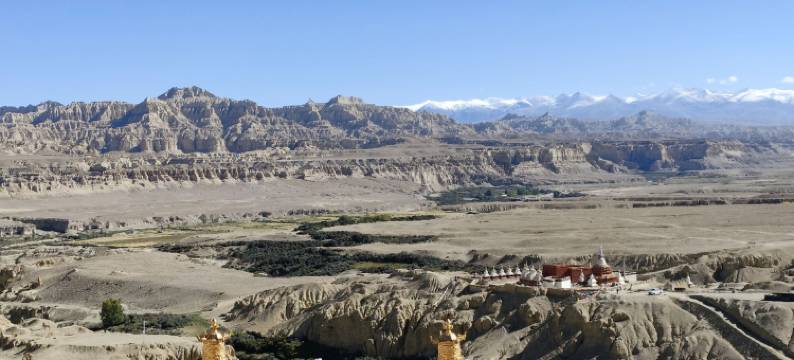 札达杨洋酒店图片