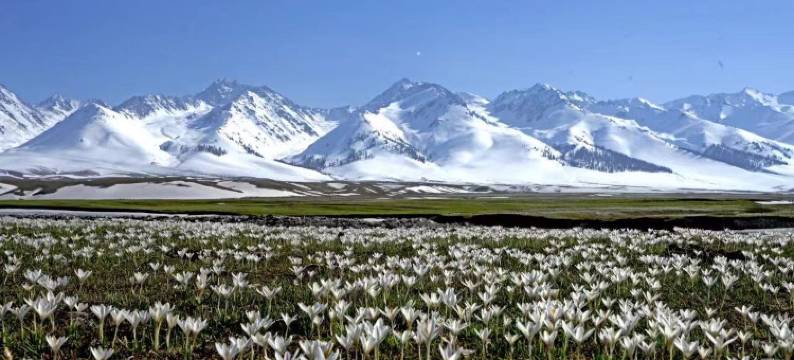 云屿山居民宿(那拉提草原店)图片