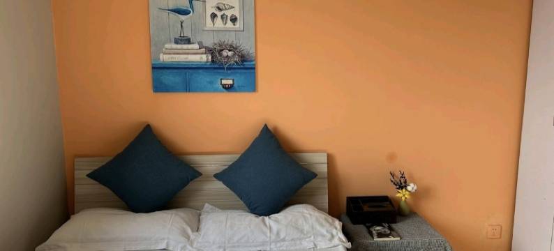 郑州悦客之家民宿图片