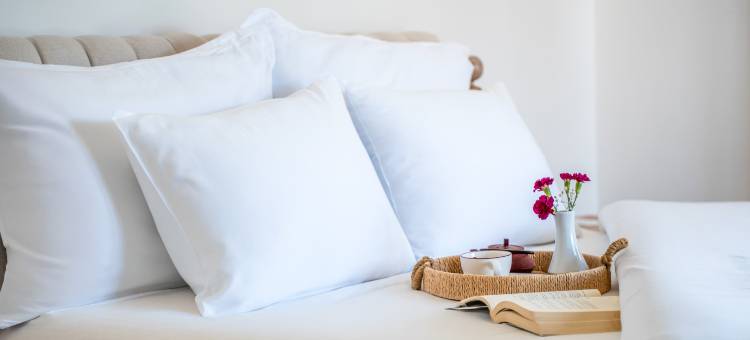 扎娜阿拉恰特酒店(Zaena Hotel Alaçatı)图片