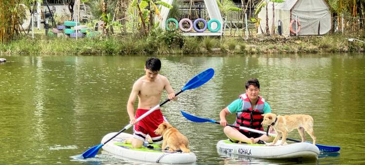 竹林源野嗨轻野营地图片