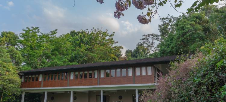 王亭酒店(Kings Pavilion Luxury Hotel)图片