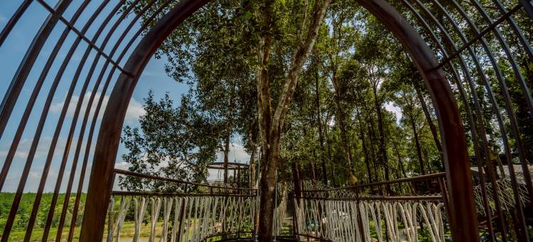 高树度假村有限公司(High Tree Resort, Krabi)图片