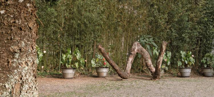 杰特威华威花园奢华臻选酒店(Jetwing Warwick Gardens, A Luxury Reserve)图片