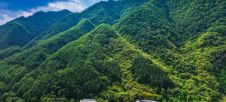 柞水阳坡院子(牛背梁国家森林公园终南山寨店)图片