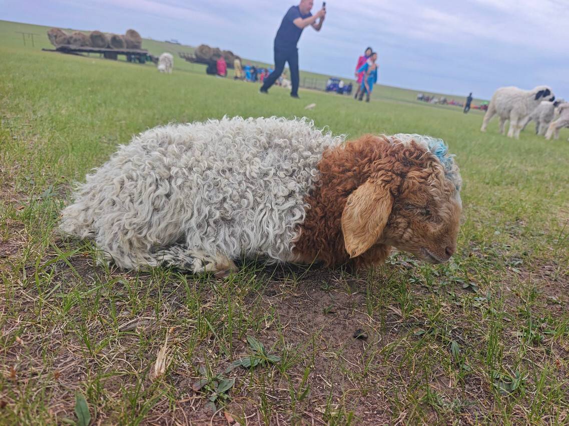 额尔古纳黑山头琳达庄园图片