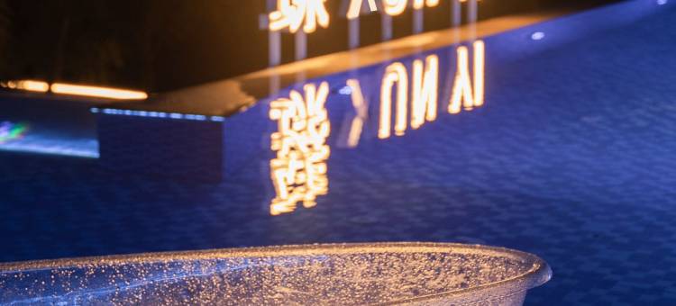 臻寻一度假酒店图片