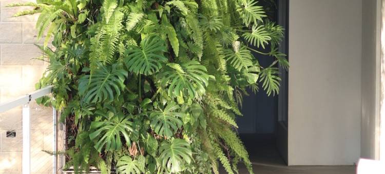 山久蒔X勺光X汎札嵐图片