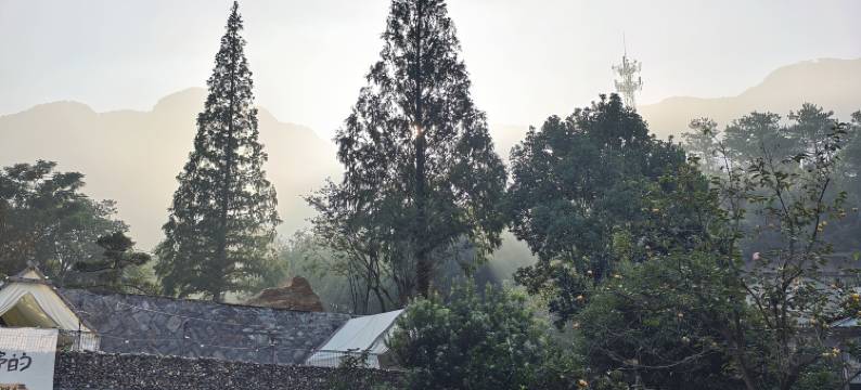 庐山枕山月民宿图片